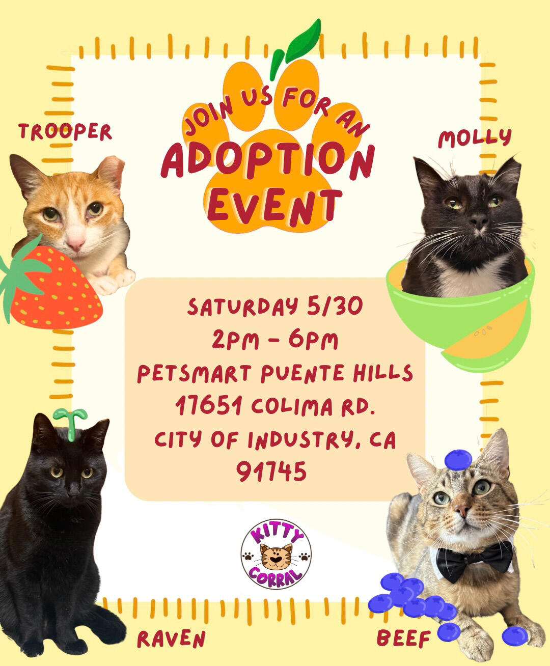 Adoption Event 5/30/26