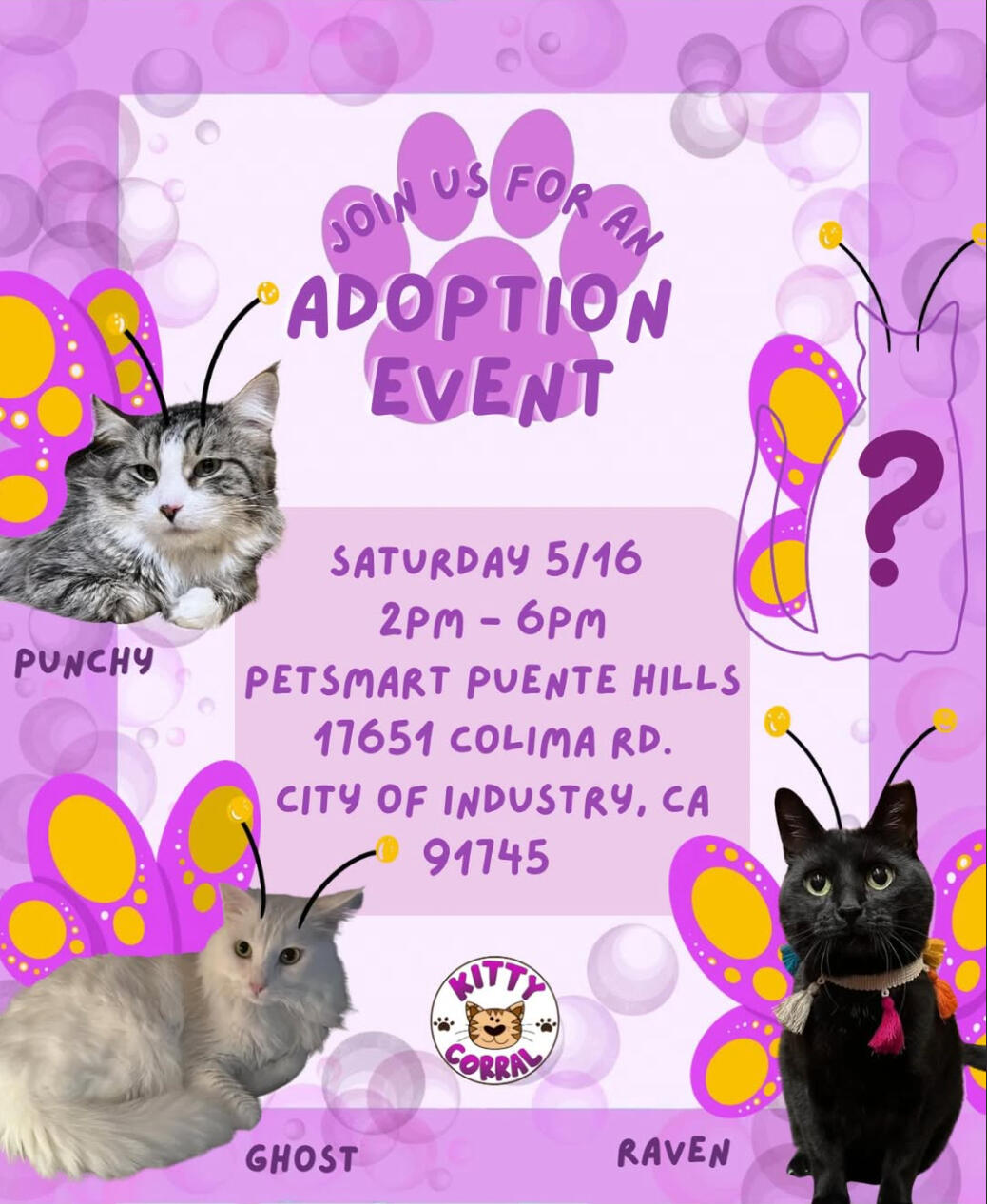Adoption Event 5/16/26