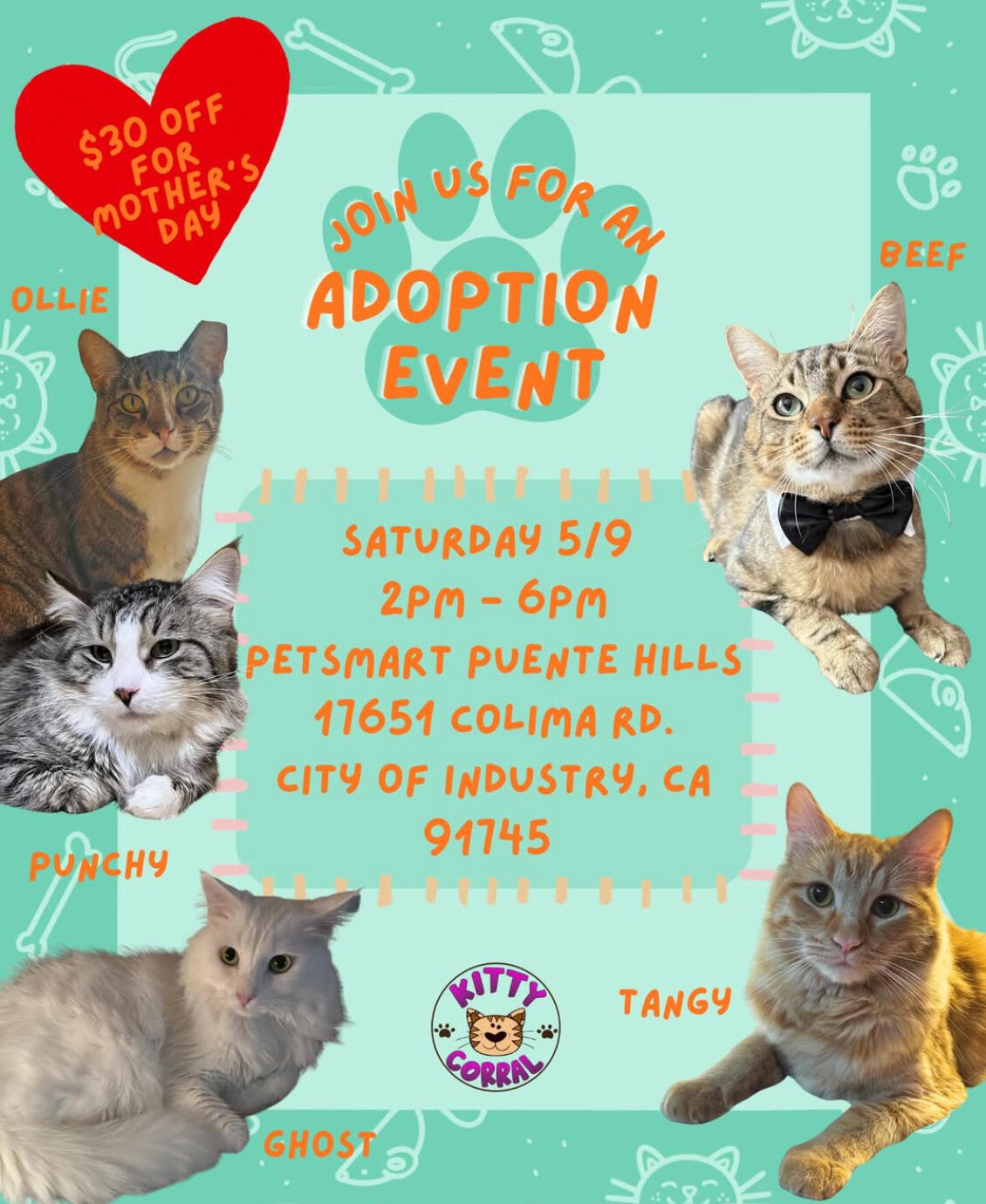Adoption Event 5/9/26