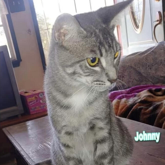 Johnny