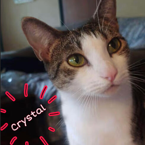 Crystal
